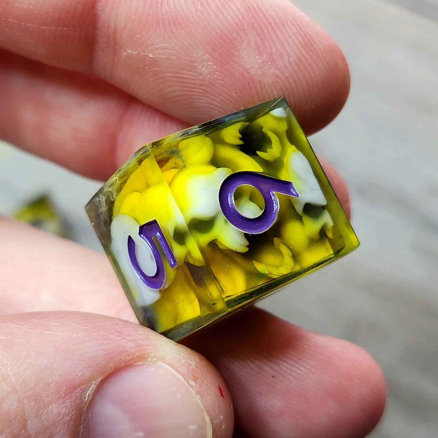 Dice set for role playing for Dungeons and Dragons