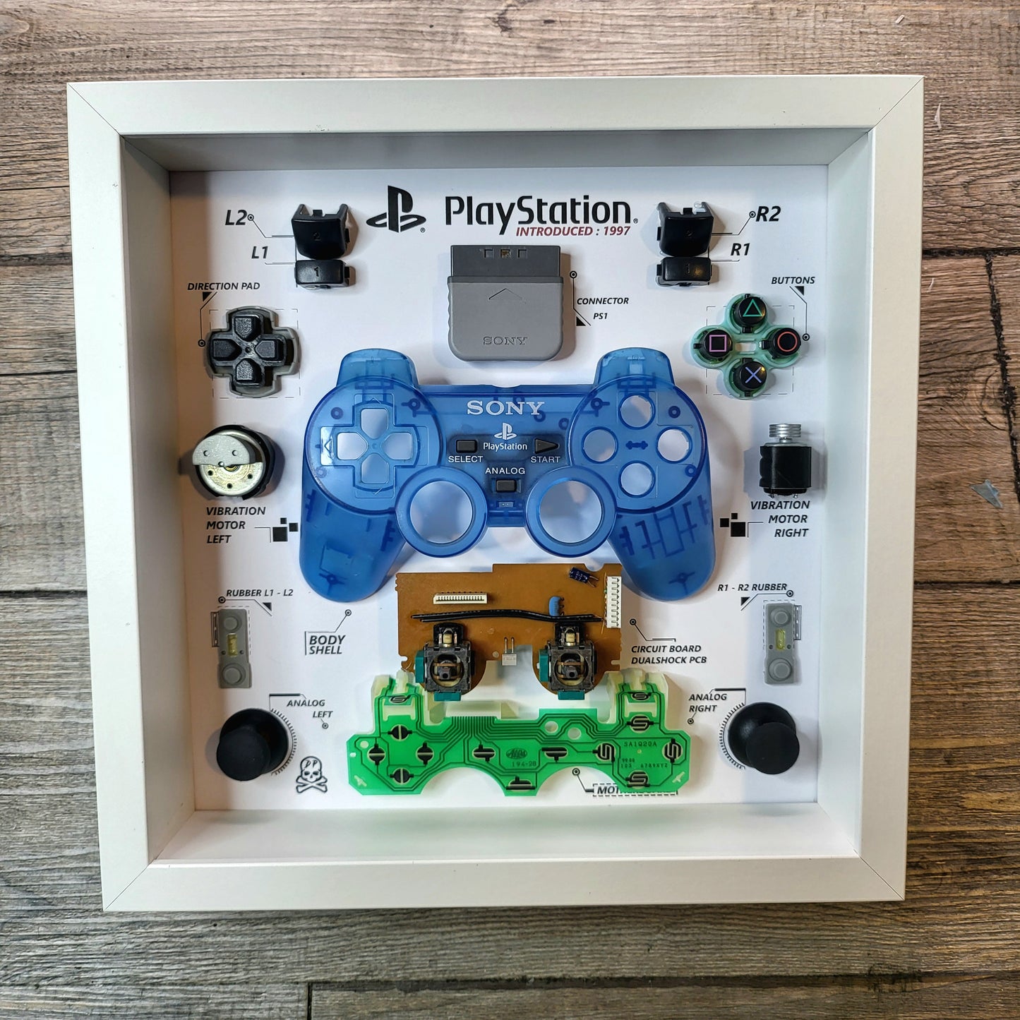 Components of a disassembled controller of PlayStation Ps1 Dualshock in a blue limited edition inside a white frame 27x27 cm with a protective polycarbonate transparent cover on the front