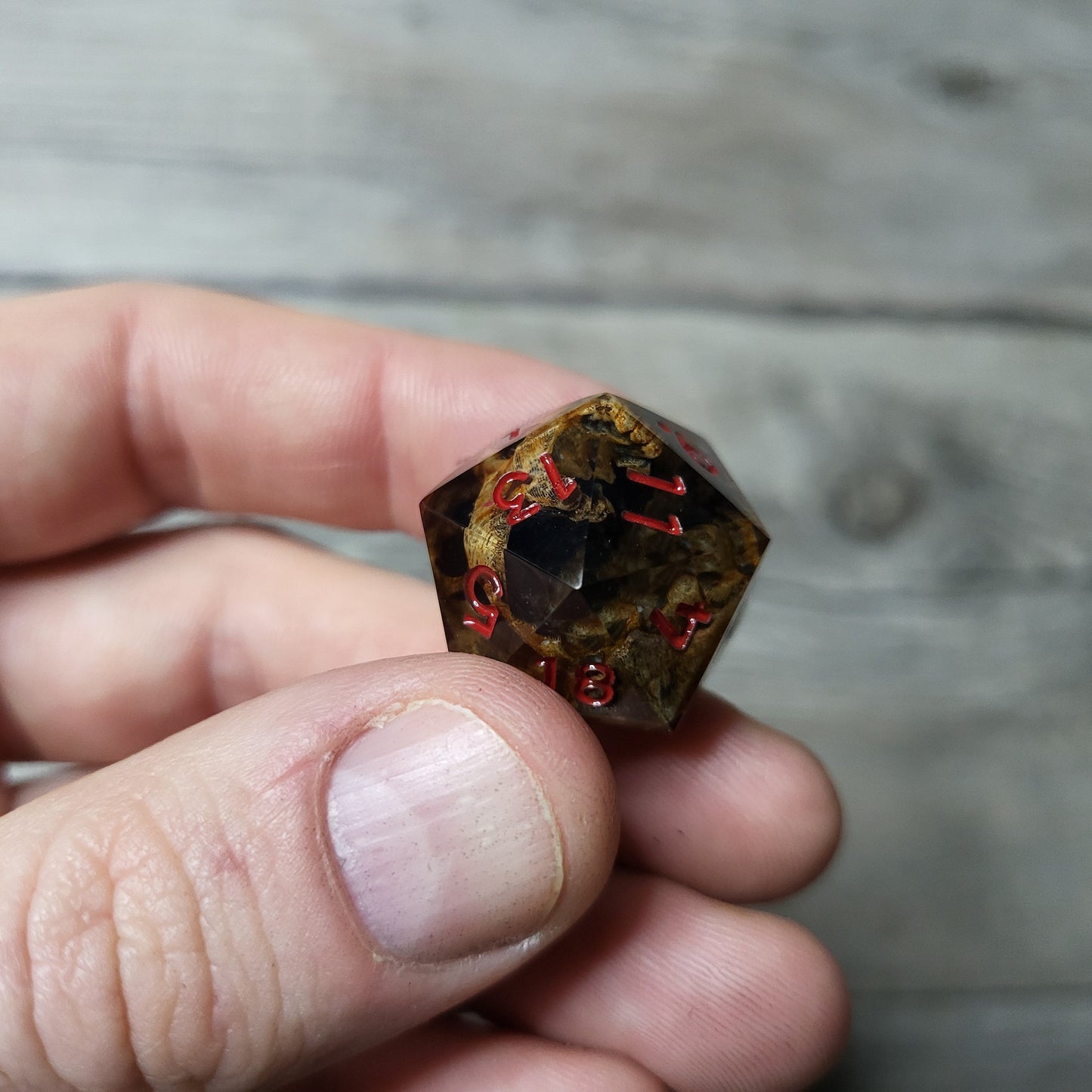 Dice D20 with skull inside for role playing for Dungeons and Dragons