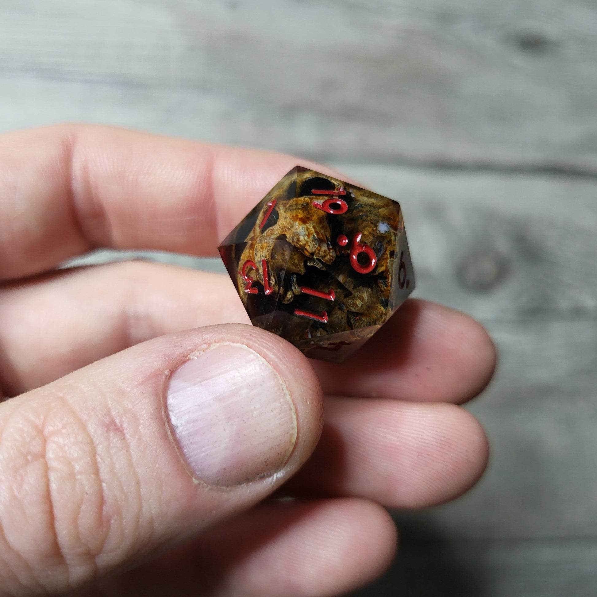 Dice D20 with skull inside for role playing for Dungeons and Dragons
