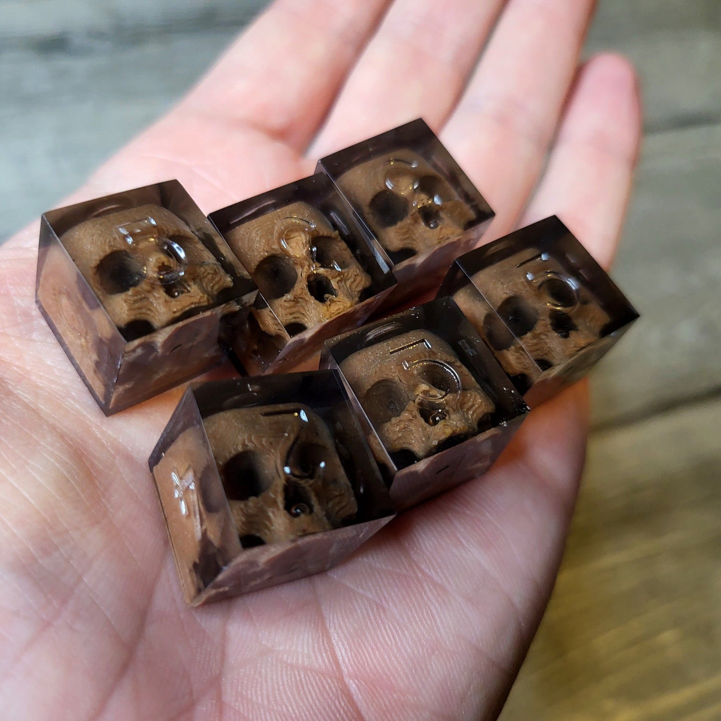 Dice set in D6 format with skull inside for role-playing games for Dungeons and Dragons