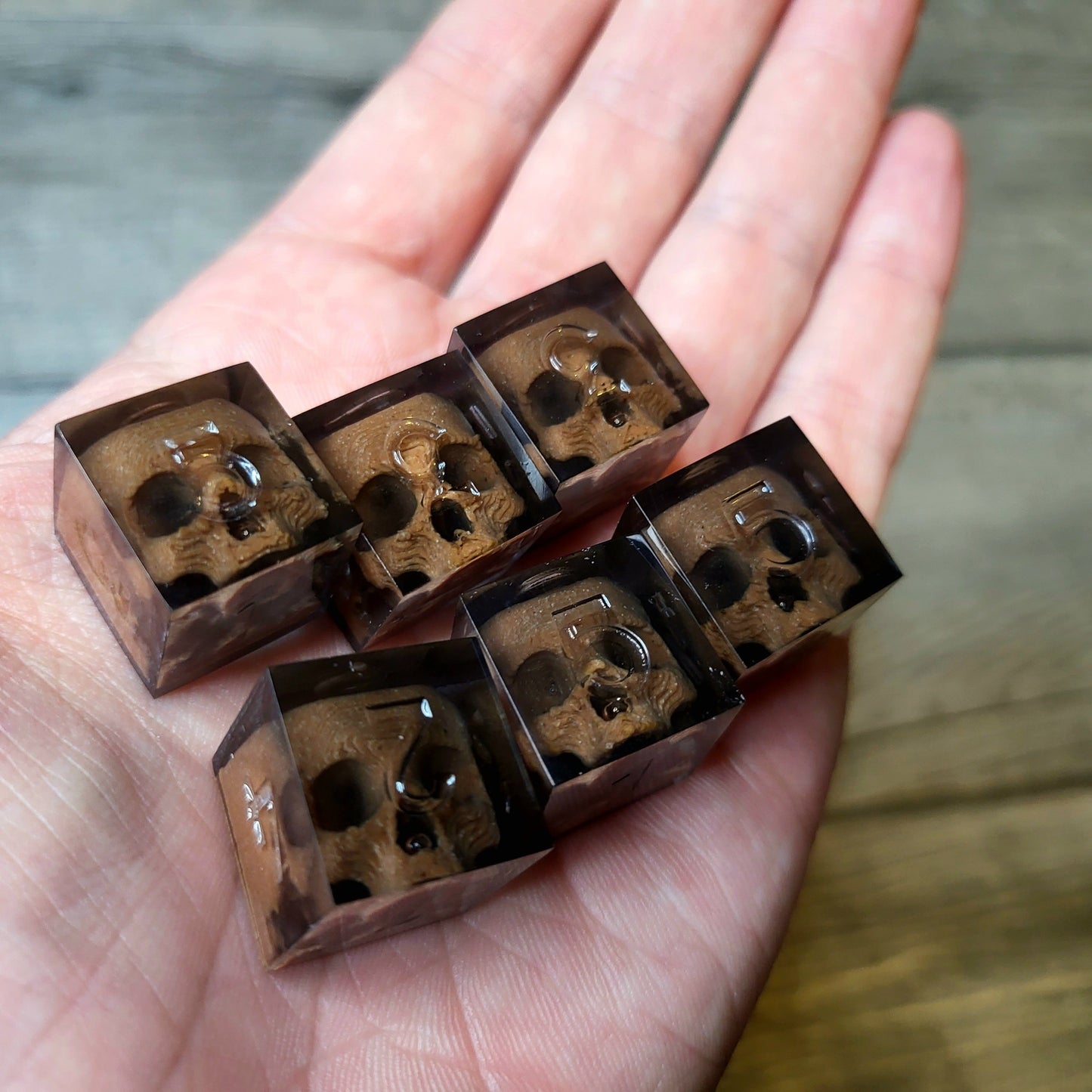 Dice set in D6 format with skull inside for role-playing games for Dungeons and Dragons