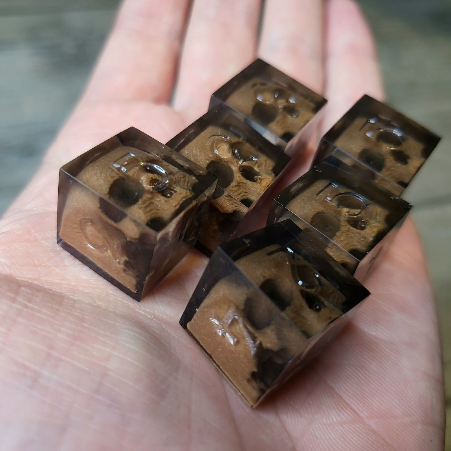 Dice set in D6 format with skull inside for role-playing games for Dungeons and Dragons