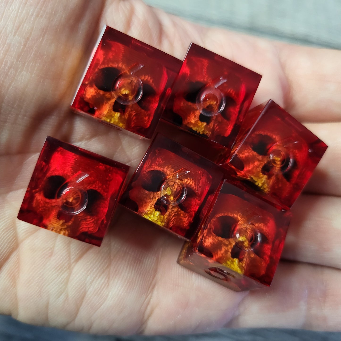 Dice set in D6 format with skull inside for role-playing games for Dungeons and Dragons