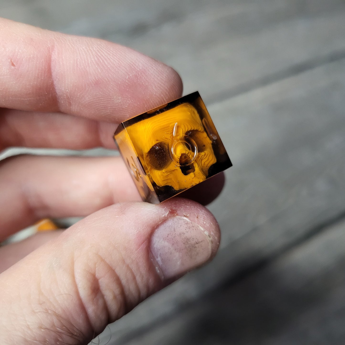 Dice set with 7 pieces with skull inside for role-playing games for Dungeons and Dragons