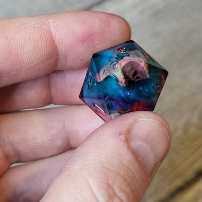 Dice D20 with skull inside for role playing for Dungeons and Dragons