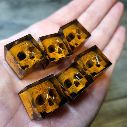 Dice set in D6 format with skull inside for role-playing games for Dungeons and Dragons