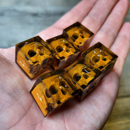 Dice set in D6 format with skull inside for role-playing games for Dungeons and Dragons