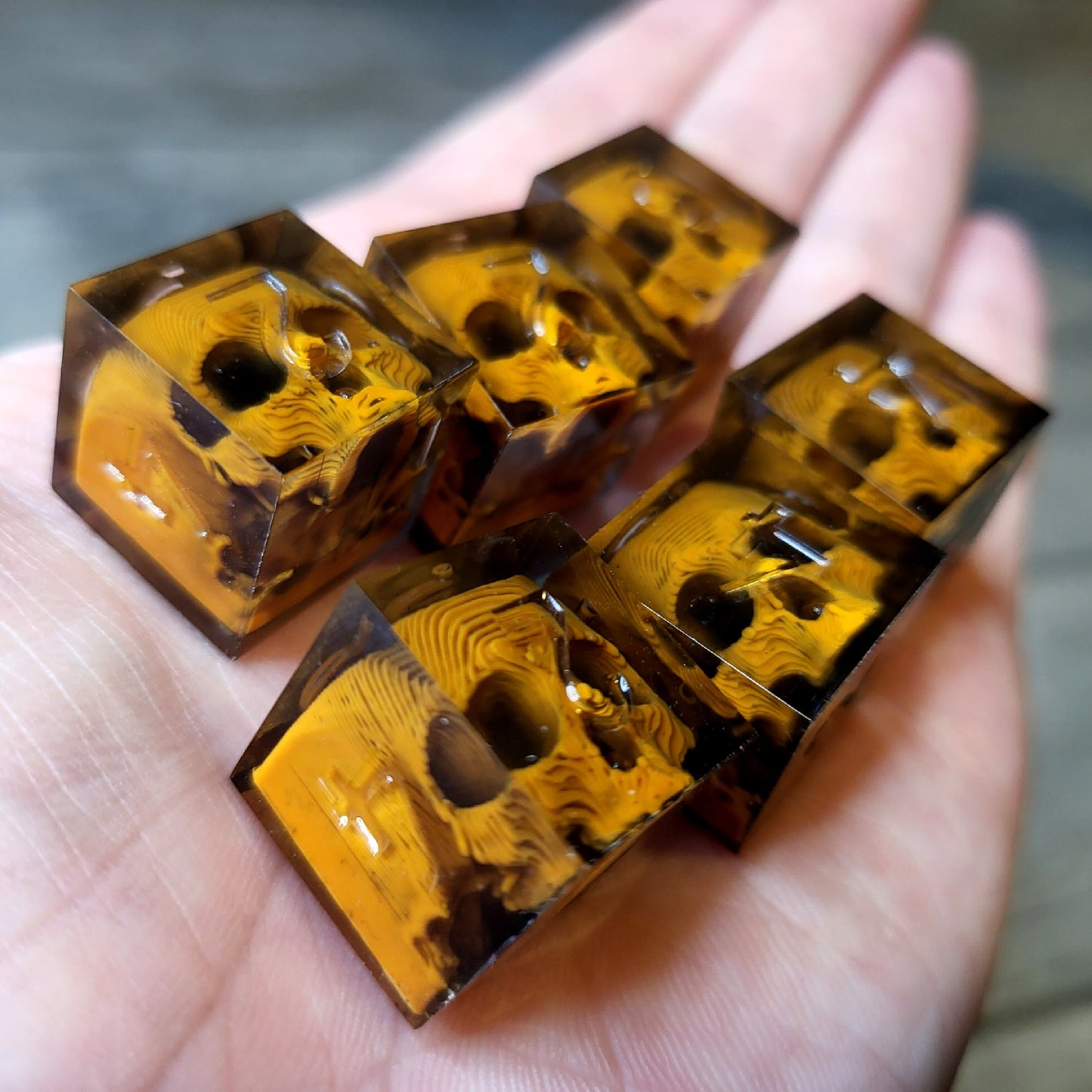 Dice set in D6 format with skull inside for role-playing games for Dungeons and Dragons