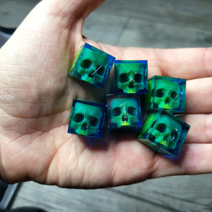 Dice set in D6 format with skull inside for role-playing games for Dungeons and Dragons